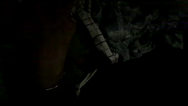 Toofat4you's cam snapshot