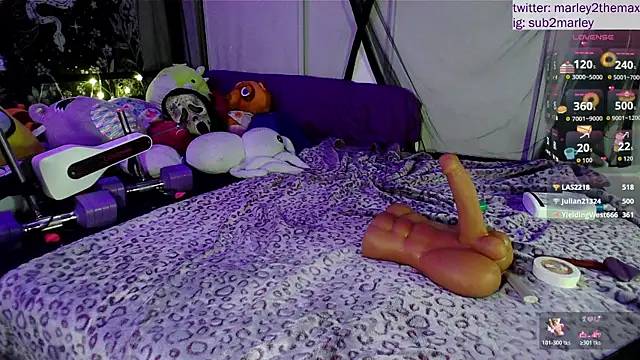 marleymaxwell live sex cam