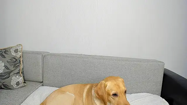 roxxxy_10's cam snapshot