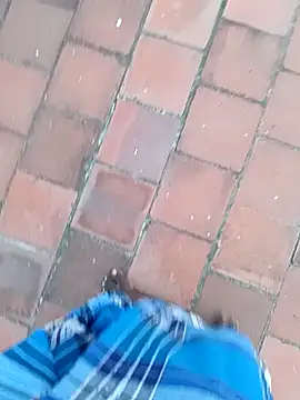 dolphiinn live sex cam