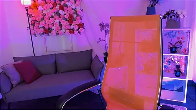 VirtuallVoyant's cam snapshot