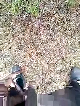 Mrveda66 live sex cam