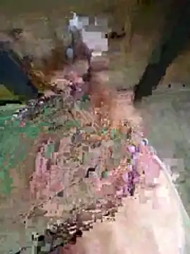 81czacha8107's cam snapshot