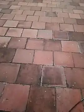 dolphiinn's cam snapshot