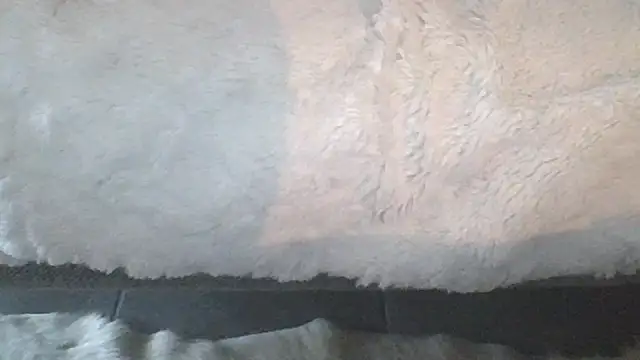 Valentinette's cam snapshot