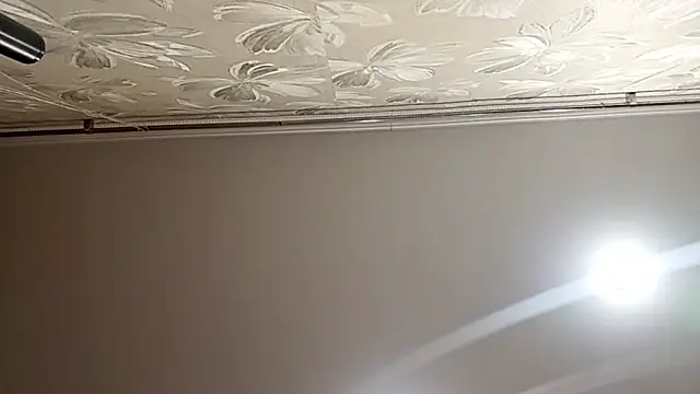 RomanceEncore's cam snapshot