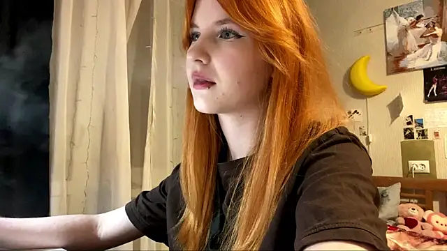 DynaLoom's cam snapshot