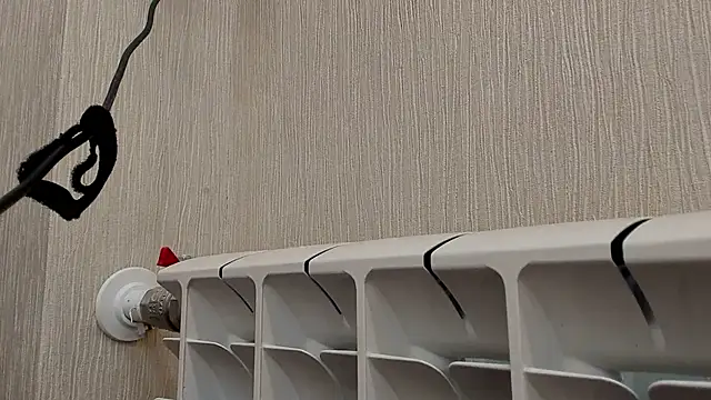 Dianasi's cam snapshot