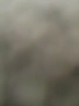 butterflybootyy live sex cam