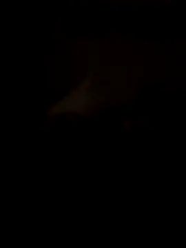 k1oudE's cam snapshot