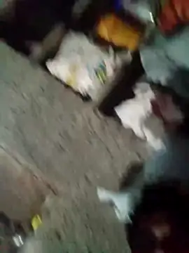 Lucky_couple-1's cam snapshot