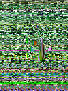 propertyofdaddy live sex cam