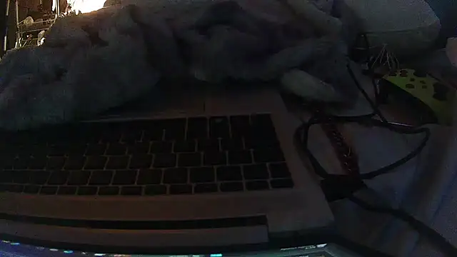 jaxx12369 live sex cam