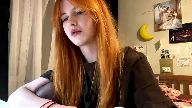 DynaLoom's cam snapshot