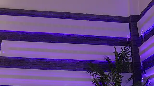 SkyMusee_'s cam snapshot