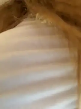 didihairypussy's cam snapshot