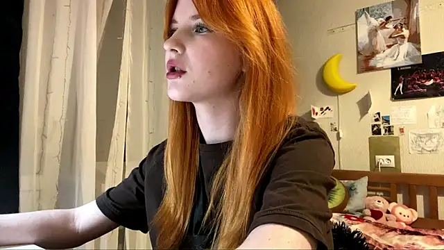 DynaLoom's cam snapshot