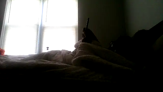 dezzidavill's cam snapshot