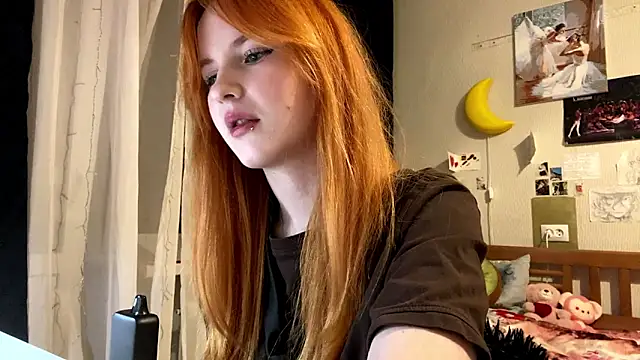 DynaLoom's cam snapshot