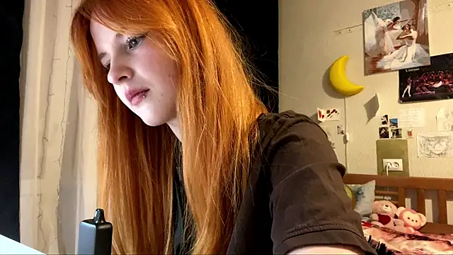 DynaLoom's cam snapshot