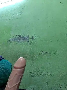 Tamilselviroja-'s cam snapshot