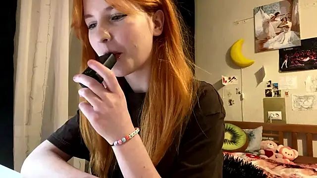 DynaLoom's cam snapshot