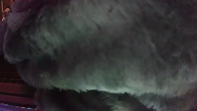 jaxx12369 live sex cam