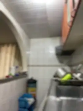 Carola-Ross's cam snapshot