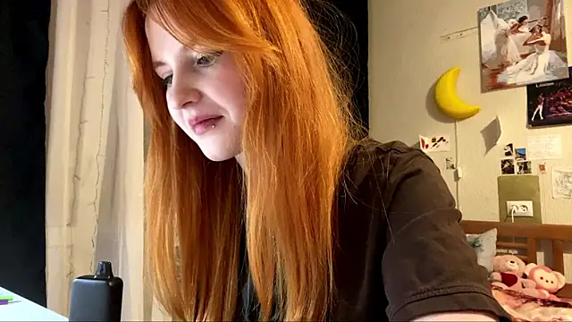 DynaLoom's cam snapshot