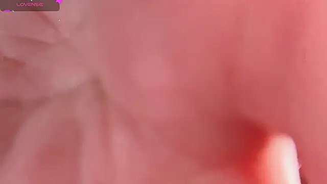 LT-333's cam snapshot