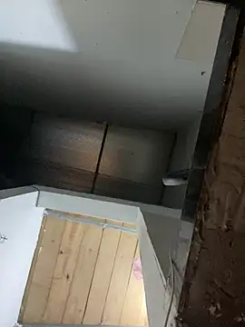 Zinsetka's cam snapshot