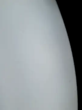 Forest_Queen live sex cam