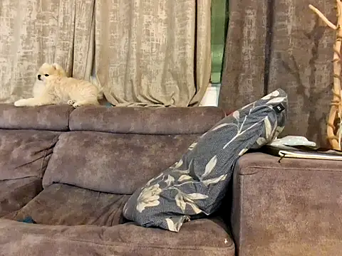 Alexis21821 live sex cam