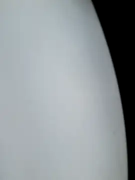 Forest_Queen live sex cam