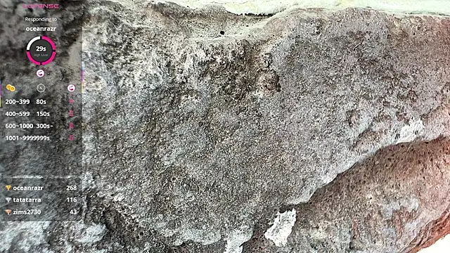 ChrisAmott's cam snapshot