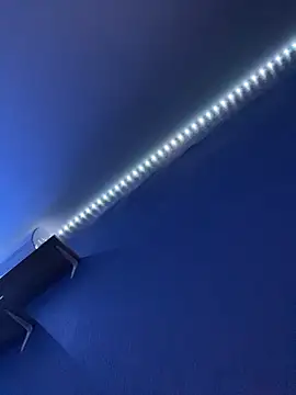 Charming_hamster_'s cam snapshot