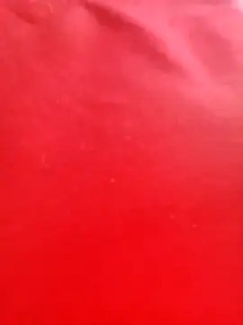 Madisson-04_'s cam snapshot