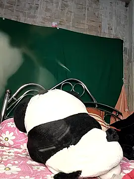 Decent_girl01 live sex cam