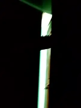 sexme-707's cam snapshot