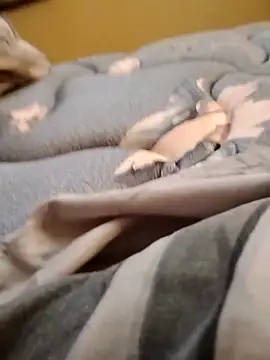 petiteDollface live sex cam