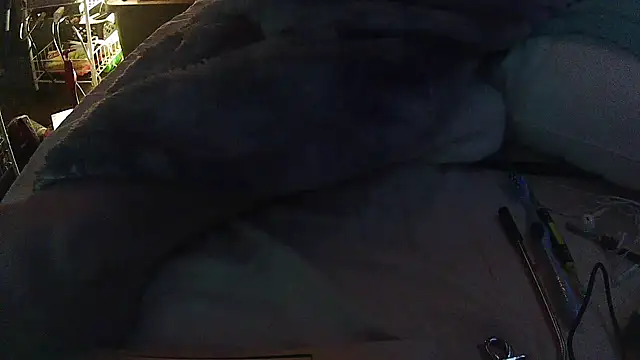 jaxx12369 live sex cam