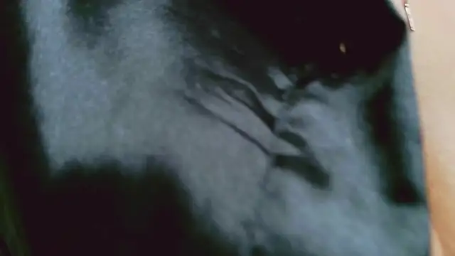 NICOL-JARAMILLO live sex cam