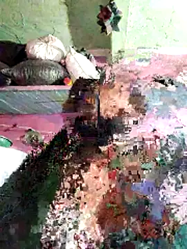 Anita-Dube's cam snapshot