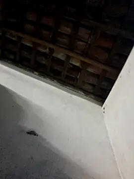 ReizinhoOh live sex cam