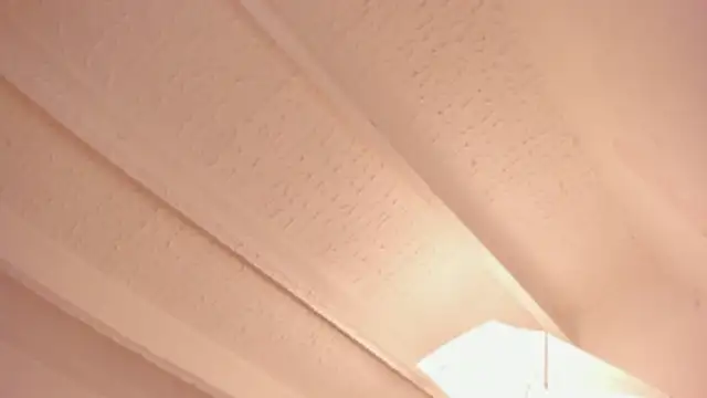 carmesix's cam snapshot