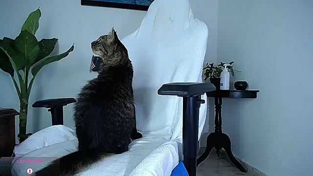 diamond_black00's cam snapshot