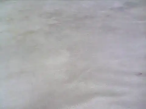 Plush_Goddess's cam snapshot