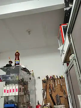 Paul22cm- live sex cam