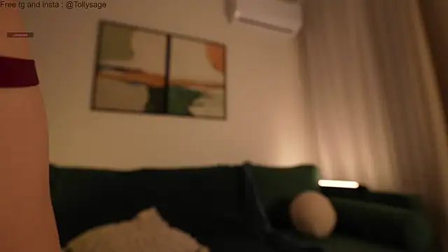 SenSage's cam snapshot