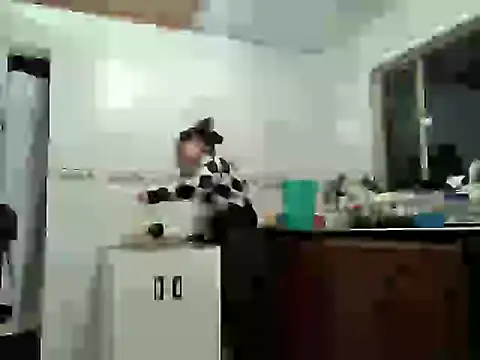 Julianaaldana's cam snapshot